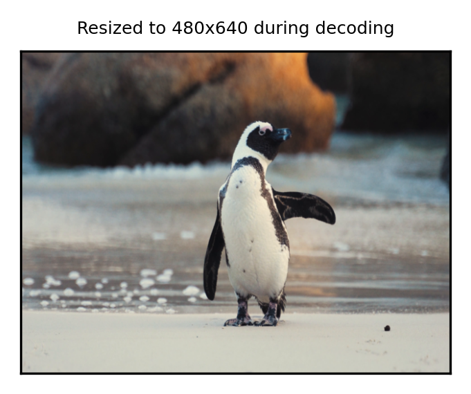 Resized to 480x640 during decoding