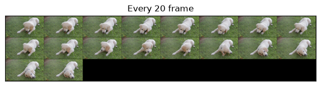 Every 20 frame