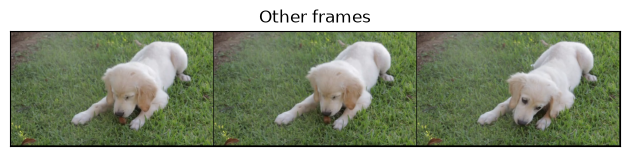 Other frames
