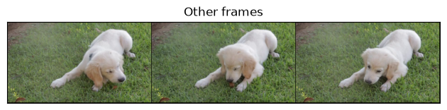 Other frames