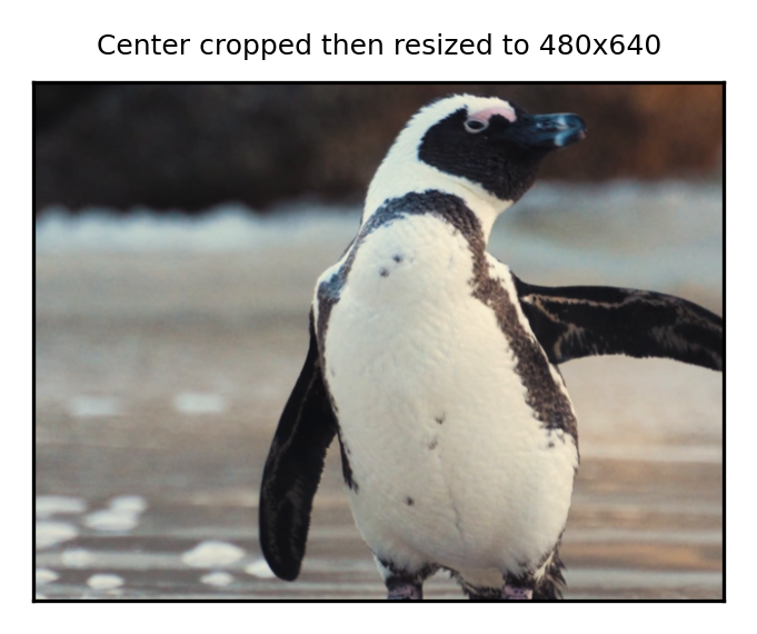 Center cropped then resized to 480x640