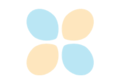 Tiny ImageNet Model
